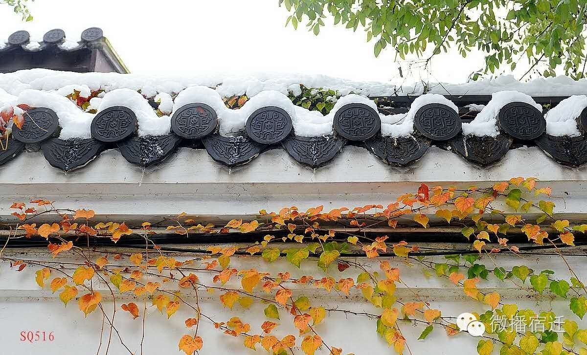 雪中宿迁，素颜都美到窒息！