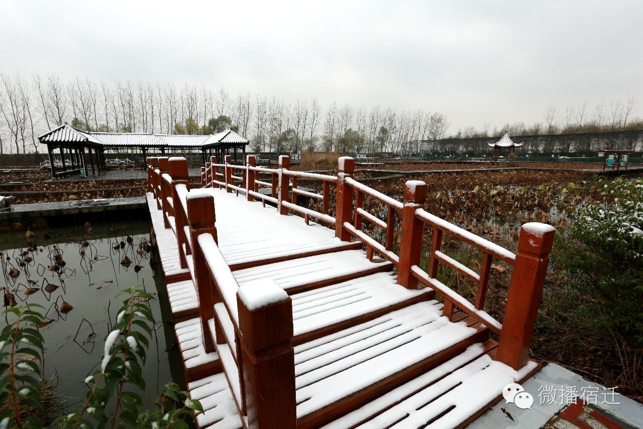 雪中宿迁，素颜都美到窒息！