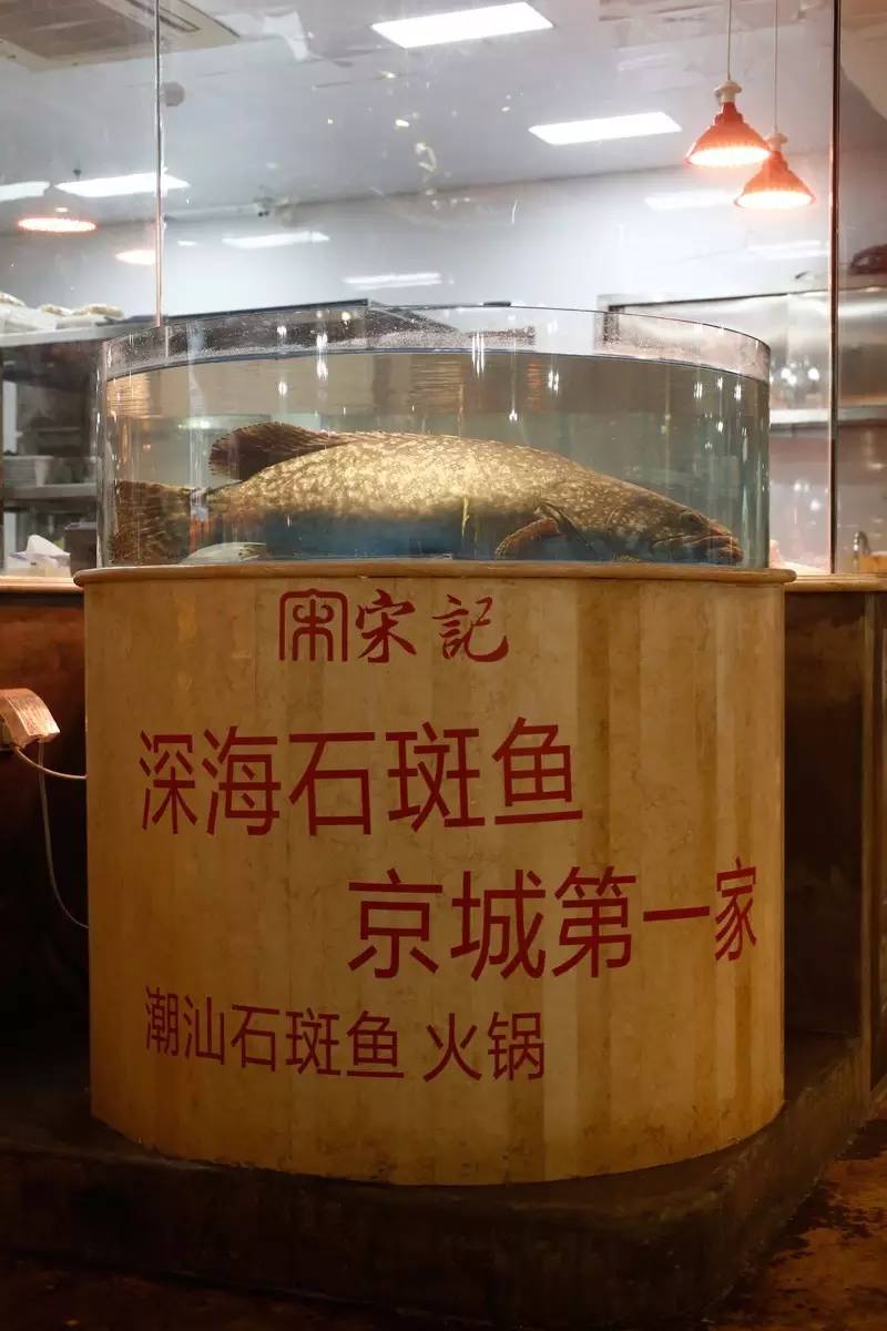 最近潮汕牛肉火锅,潮汕牛肉火锅的未来