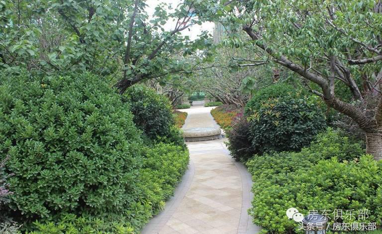 郑州南龙湖教育配套最好的楼盘,新郑市南龙湖最近新开楼盘价格