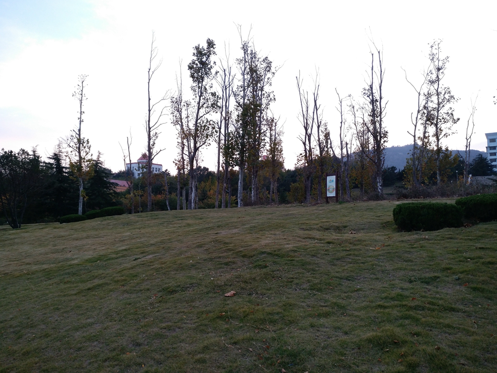 乐视乐pro3双摄ai版手机,乐pro3和乐视2哪个好