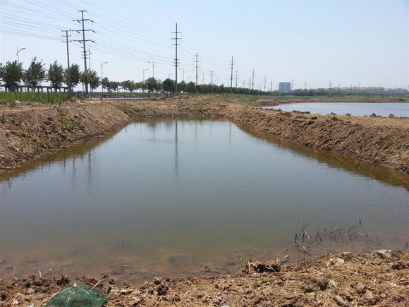 一亩池塘一年能赚多少钱,一亩鱼塘赚一万元