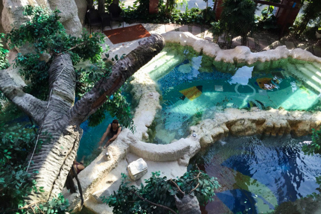 你那不是泡温泉，顶多算泡澡