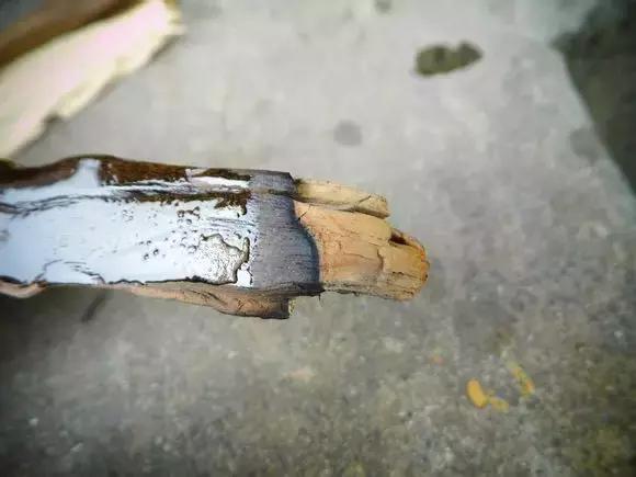 金丝楠木四大名树,金丝楠属于什么木类