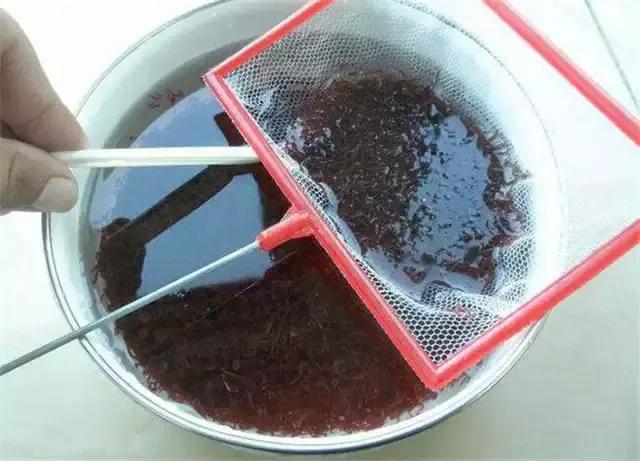 秋冬钓鲫鱼用红虫还是蚯蚓,冬季野钓红虫用大的好还是小的好