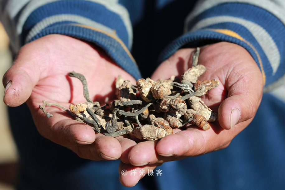 这个民族的祖先因战败被迫流离失所，却创造出世界上独一无二奇迹