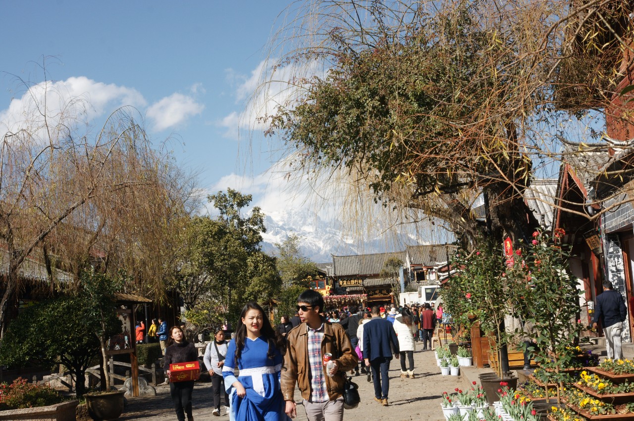 旅行社服务质量现状简介,从八项规定入手