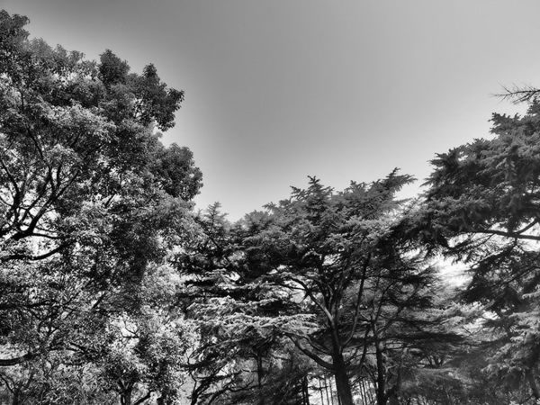 奥林巴斯e-pl8能够自拍吗,奥林巴斯epl8拍的照片