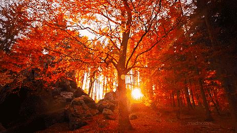 海曙附近的古道,海曙区十大古道