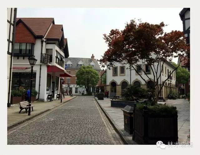 生在安徽人在浙江,生在皖嫁在沪