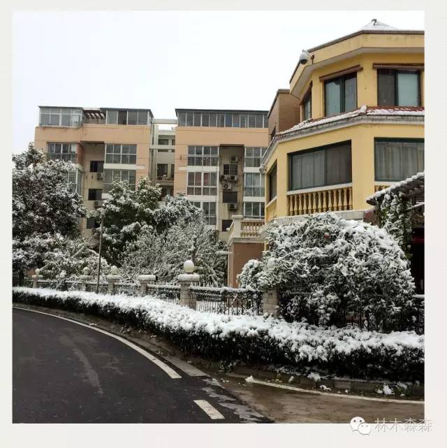 生在安徽人在浙江,生在皖嫁在沪