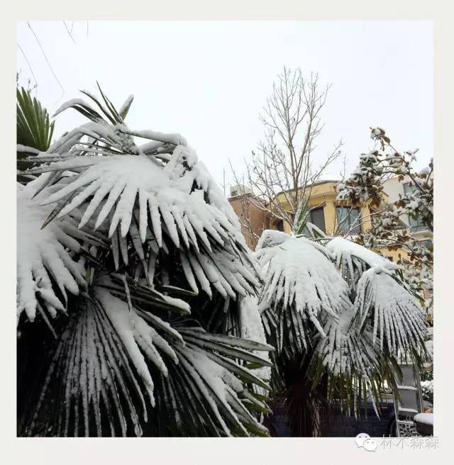 生在安徽人在浙江,生在皖嫁在沪