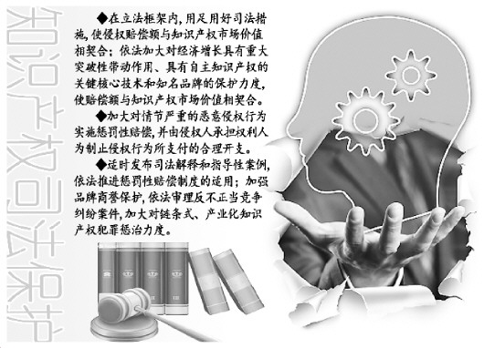 知识产权保护机制快速调解,知识产权保护与行刑衔接制度