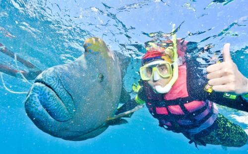 游玩黄金海岸,黄金海岸休闲游