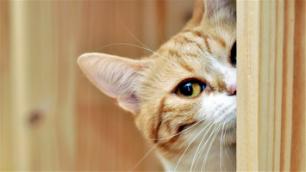 *不起活**！呼吸都要花软妹币