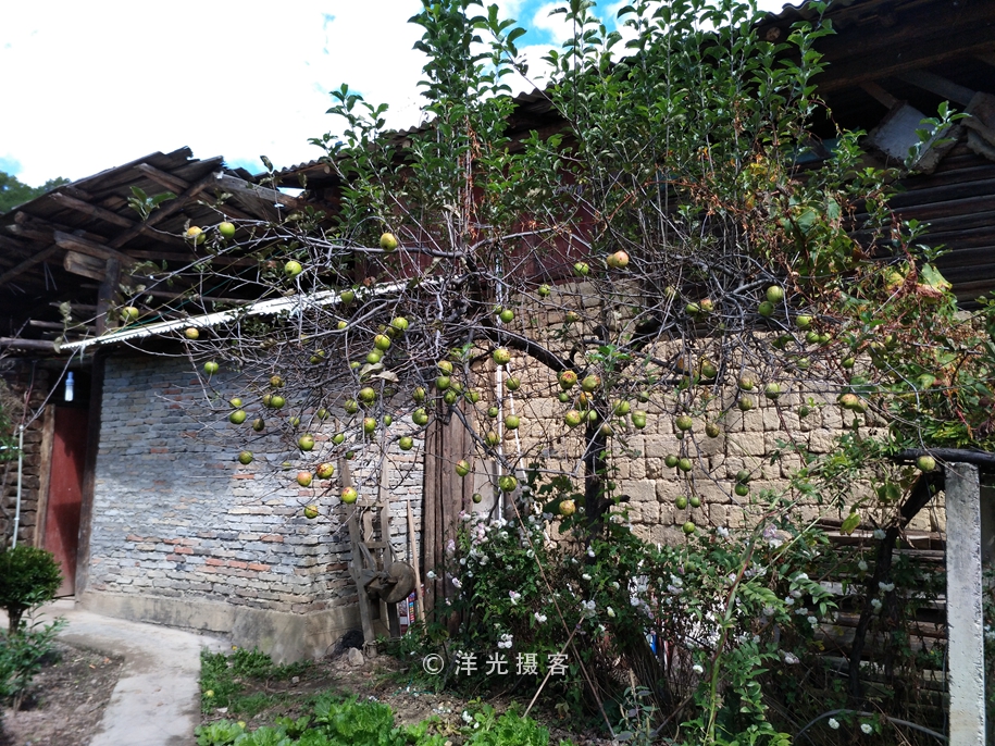 这个民族的祖先因战败被迫流离失所，却创造出世界上独一无二奇迹