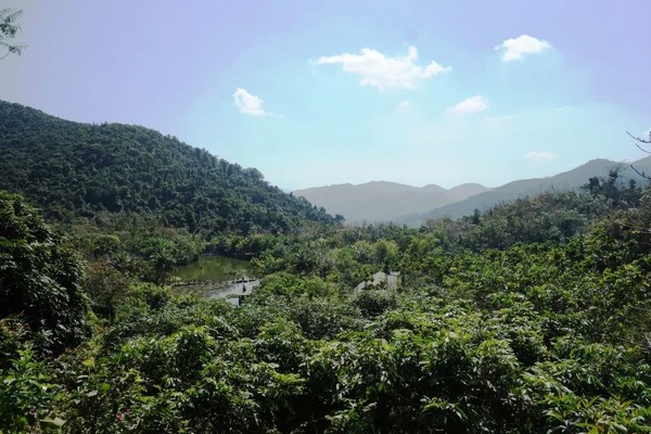 全家去三亚自驾过年攻略,十一月份带全家去三亚