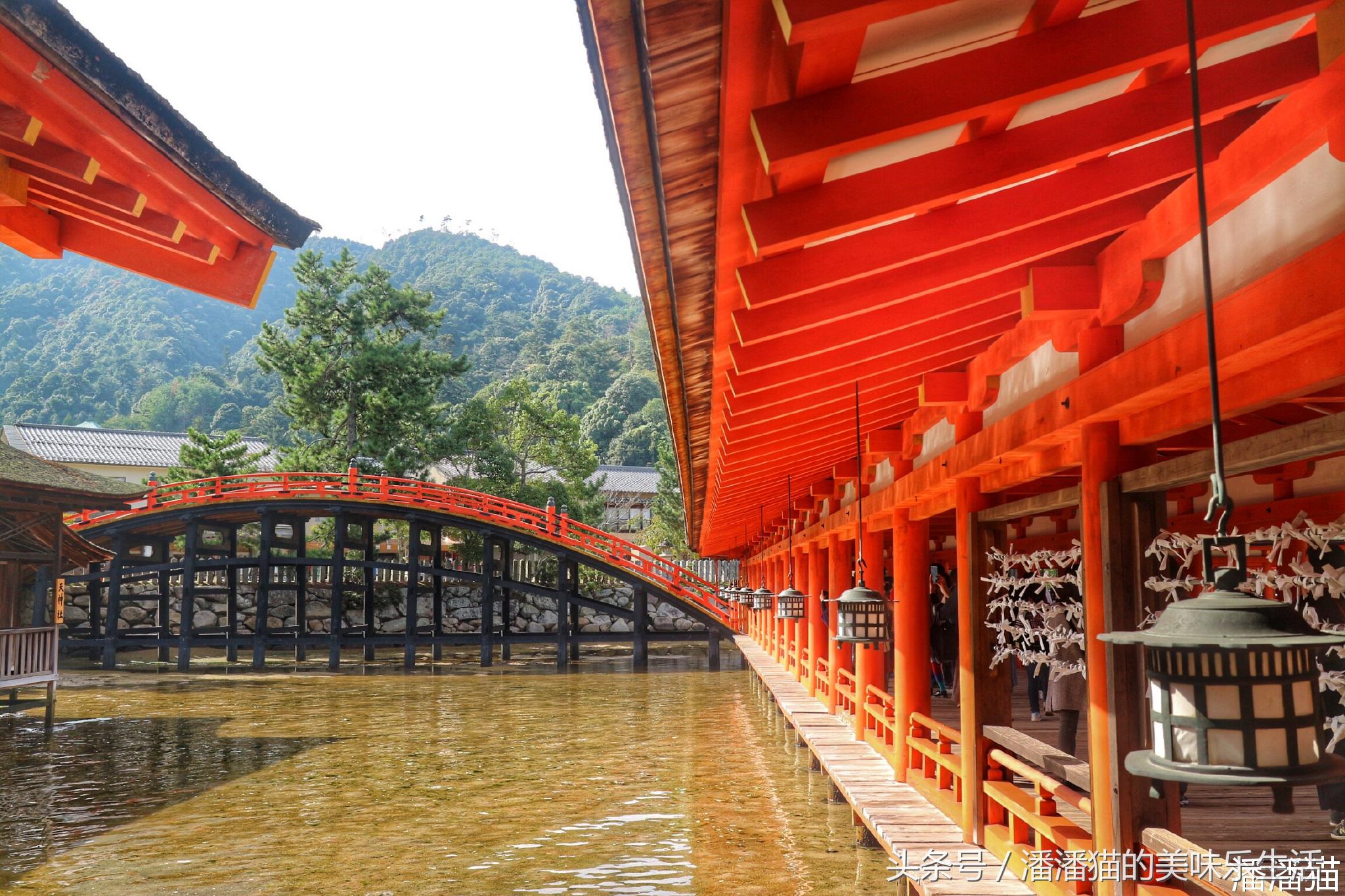 山阴山阳地区五县旅行线路指南