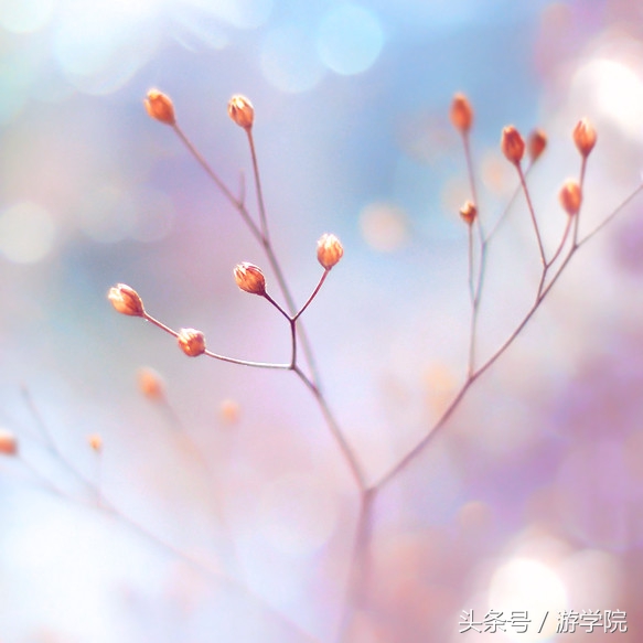 摄影答疑,解答摄影问题