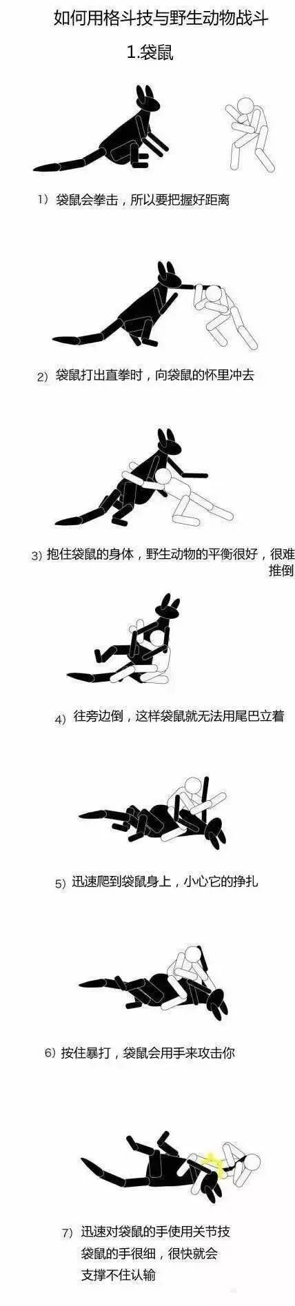 袋鼠和獒犬打架,袋鼠大战德国獒犬