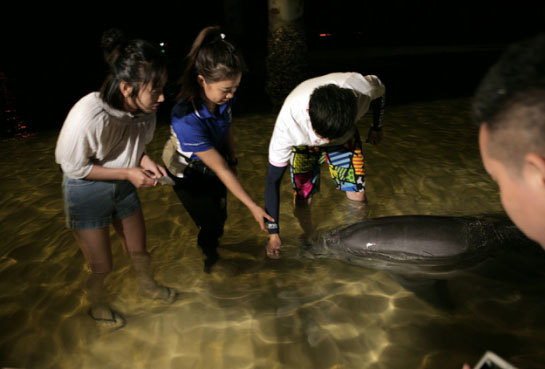 游玩黄金海岸,黄金海岸休闲游