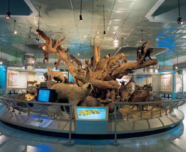 大连景区旅游攻略十大必去景点,大连金州区炮台镇有哪些景区