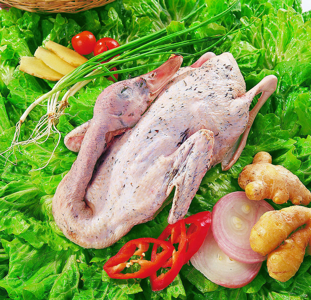 简单的老鸭汤做法,正宗的老鸭汤的做法