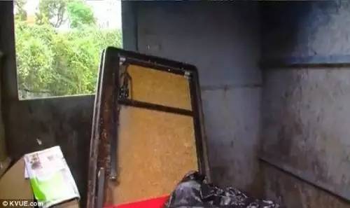 哈佛大学的精英，非要住垃圾箱！嘲笑他的人现在都服了