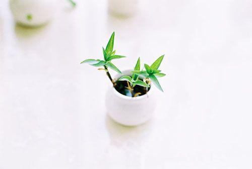 经典的心灵鸡汤句子合适发朋友圈,早安心灵鸡汤简短好句子朋友圈