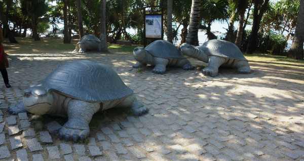 全家去三亚自驾过年攻略,十一月份带全家去三亚