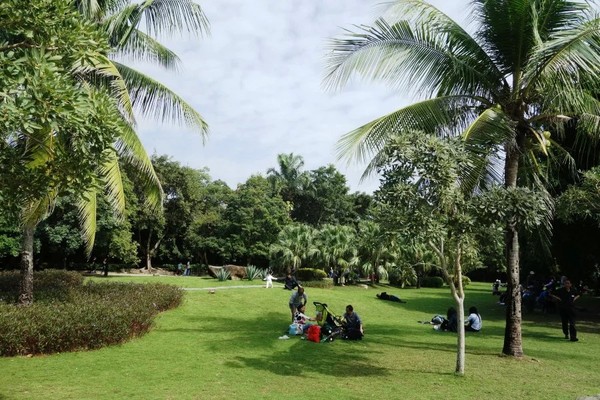 全家去三亚自驾过年攻略,十一月份带全家去三亚