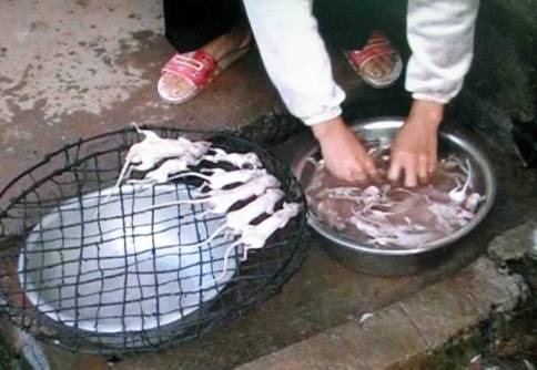 三明有没有好吃的啊,三明美食推荐必吃第一名