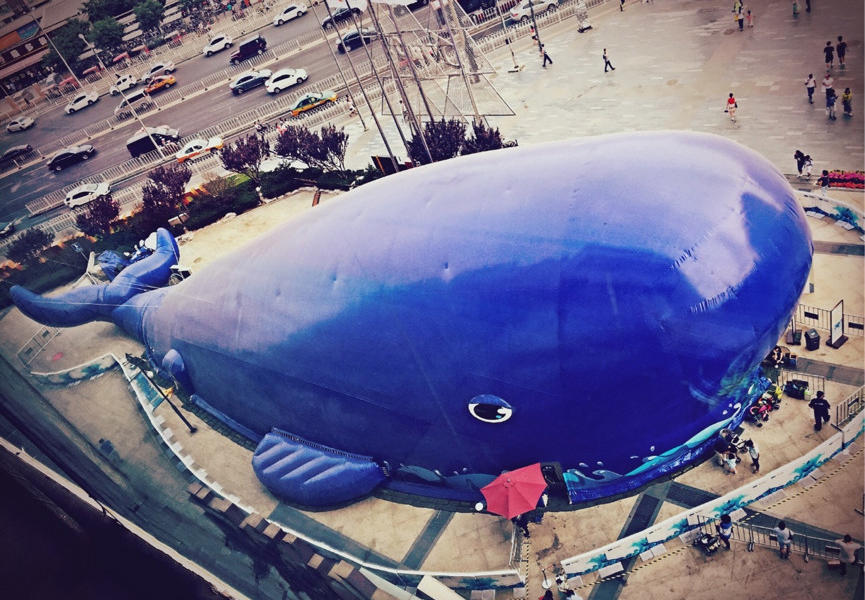 济南合适带孩子玩的室内乐园,春季儿童游玩好去处推荐