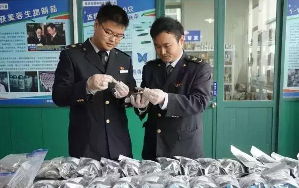 即食燕窝能够入境日本吗,花胶燕窝鲜贝海参进货渠道