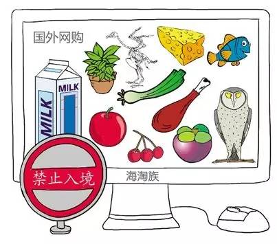 即食燕窝能够入境日本吗,花胶燕窝鲜贝海参进货渠道