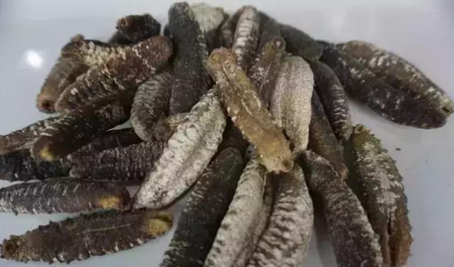 即食燕窝能够入境日本吗,花胶燕窝鲜贝海参进货渠道