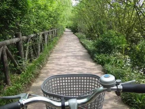 去温江有啥好玩的,夏季温江游玩景点有哪些