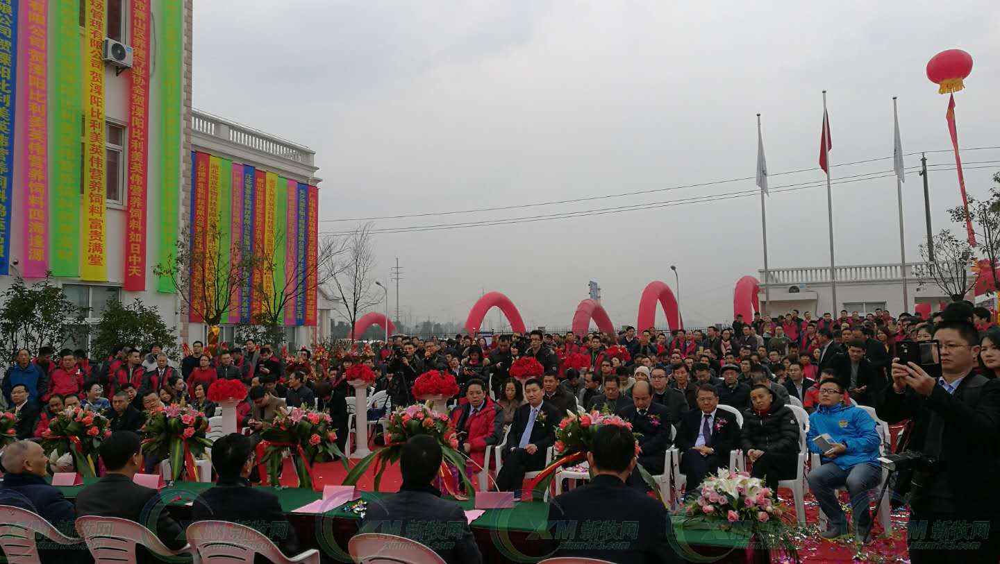 比利美英伟饲料溧阳车间,溧阳比利美英伟蛋鸡饲料价格