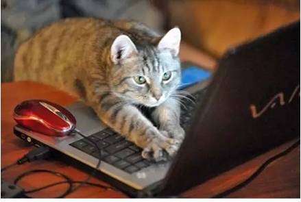 春运火车票本周五正式开售,春运火车票今天预售到元月多少号