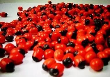 误食相思子解决办法,相思子误食能够查出来嘛