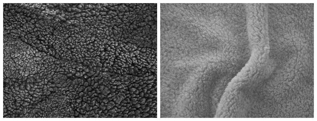 抓绒最高品质,抓绒的优缺点