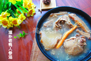 滋补老鸭人参汤怎么做,老鸭石斛人参汤