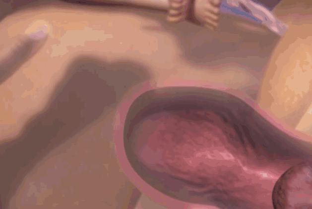 动画演示生孩子全过程，母亲的伟大你可懂？