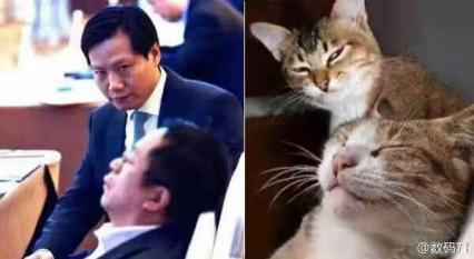 你没见过的搞笑表情包,你没见过世面表情包