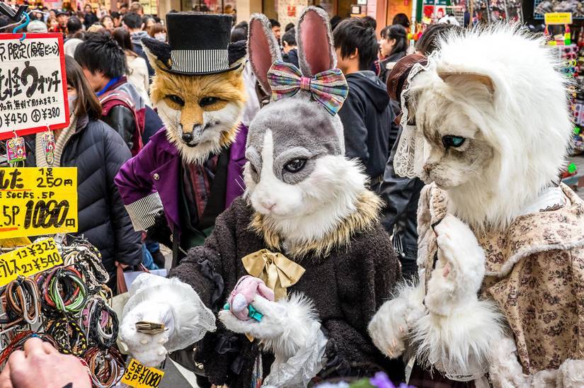 日元跌到最低了吗,日元跌到多少合适入手