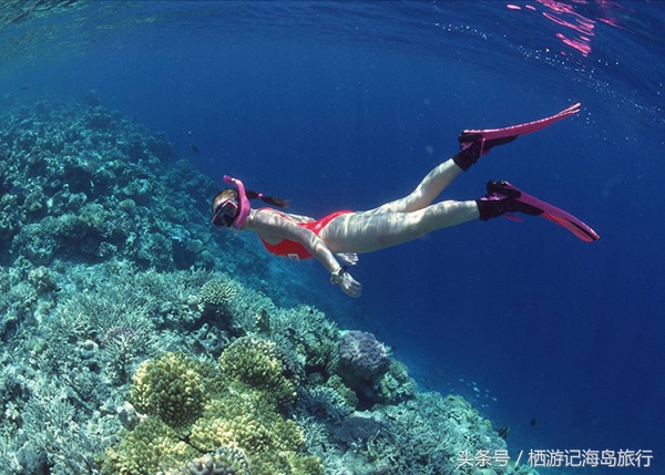 潜水推荐国内,合适潜水的海岛