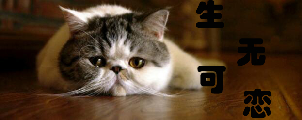 没银子买新游，不如掏出《饥荒》开个黑？