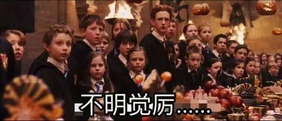 神奇动物中的咒语都有哪些,看神奇动物需要知道的事