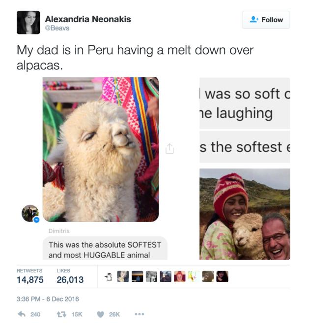 羊驼是羊和骆驼杂交的后代吗,羊驼是羊类吗