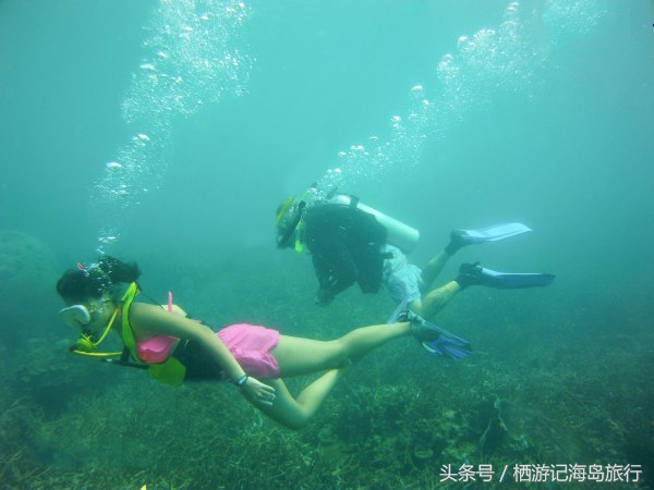 潜水推荐国内,合适潜水的海岛